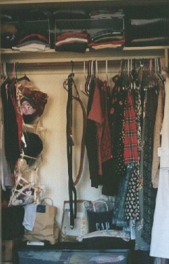 closet.jpg (30801 bytes)